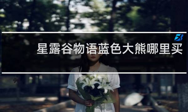 星露谷物语蓝色大熊哪里买