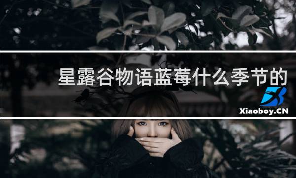 星露谷物语蓝莓什么季节的