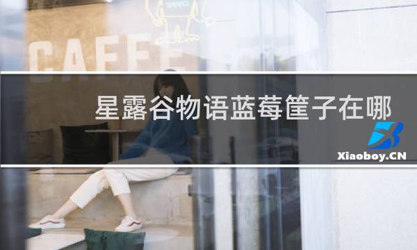 星露谷物语蓝莓筐子在哪