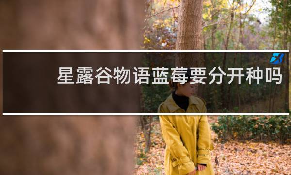 星露谷物语蓝莓要分开种吗