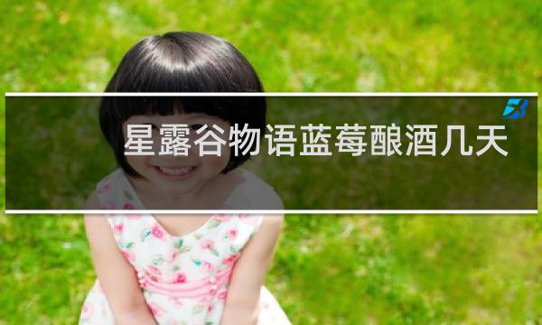 星露谷物语蓝莓酿酒几天