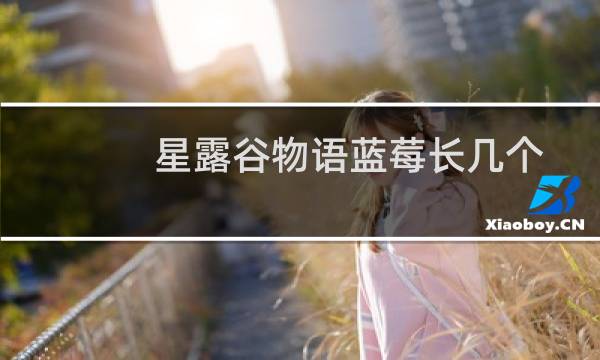 星露谷物语蓝莓长几个