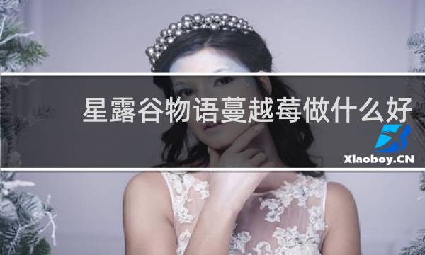 星露谷物语蔓越莓做什么好