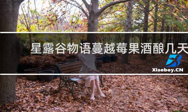 星露谷物语蔓越莓果酒酿几天