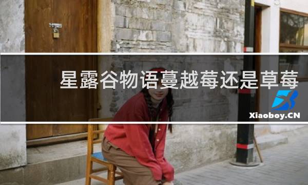 星露谷物语蔓越莓还是草莓