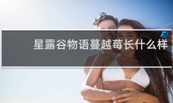 星露谷物语蔓越莓长什么样