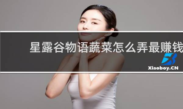 星露谷物语蔬菜怎么弄最赚钱