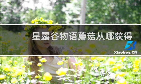 星露谷物语蘑菇从哪获得