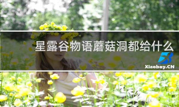 星露谷物语蘑菇洞都给什么