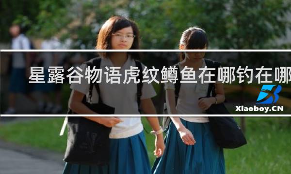 星露谷物语虎纹鳟鱼在哪钓在哪里