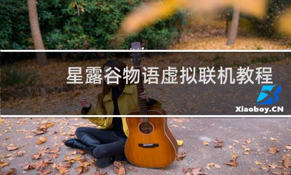 星露谷物语虚拟联机教程