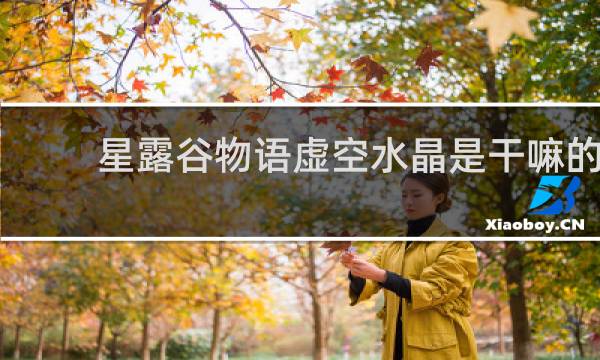 星露谷物语虚空水晶是干嘛的