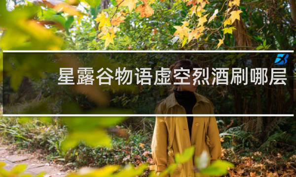星露谷物语虚空烈酒刷哪层