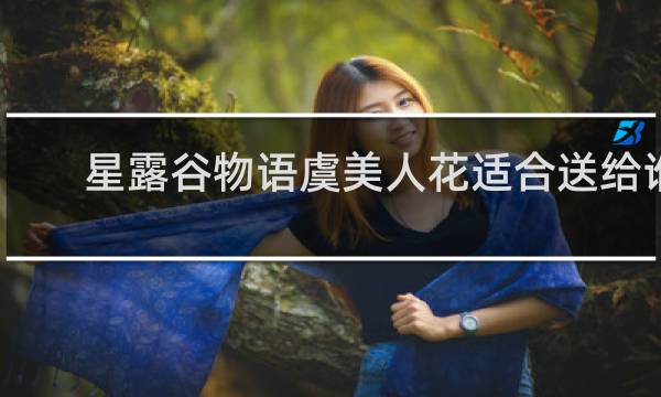 星露谷物语虞美人花适合送给谁