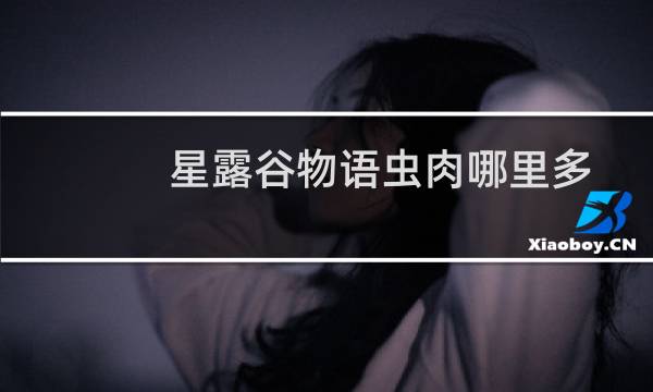 星露谷物语虫肉哪里多