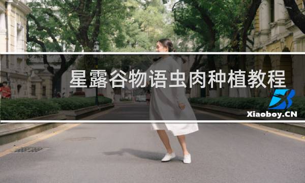 星露谷物语虫肉种植教程