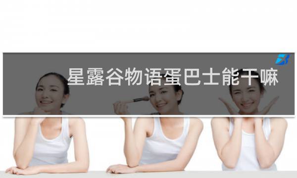 星露谷物语蛋巴士能干嘛