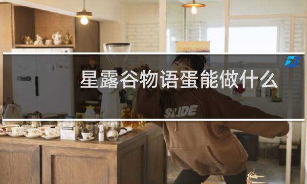 星露谷物语蛋能做什么