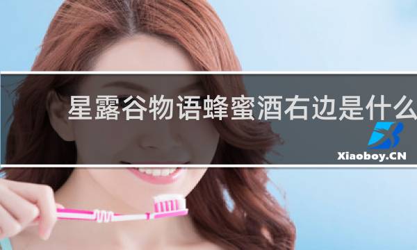 星露谷物语蜂蜜酒右边是什么