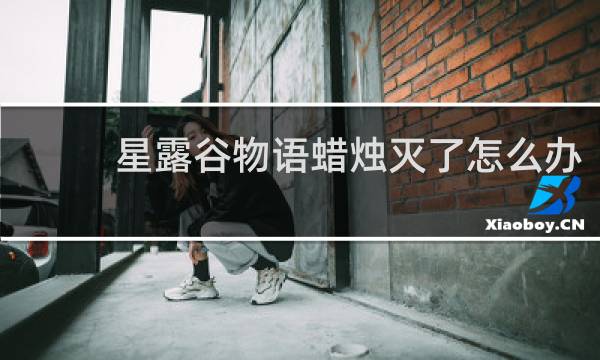 星露谷物语蜡烛灭了怎么办