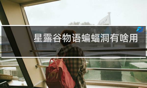 星露谷物语蝙蝠洞有啥用