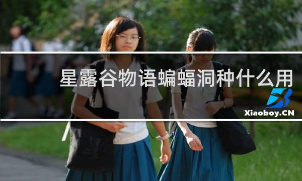 星露谷物语蝙蝠洞种什么用