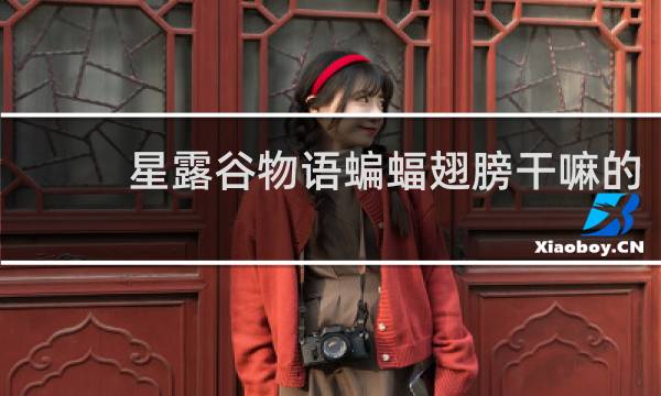 星露谷物语蝙蝠翅膀干嘛的