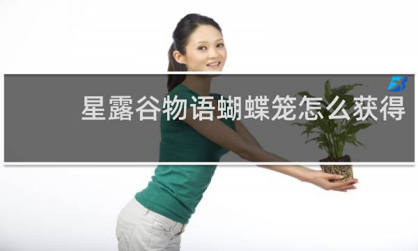 星露谷物语蝴蝶笼怎么获得