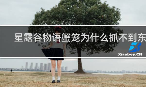 星露谷物语蟹笼为什么抓不到东西