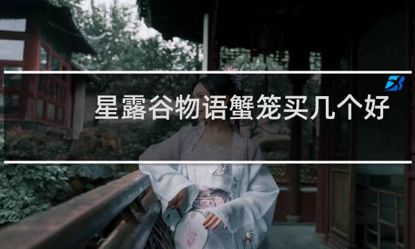星露谷物语蟹笼买几个好