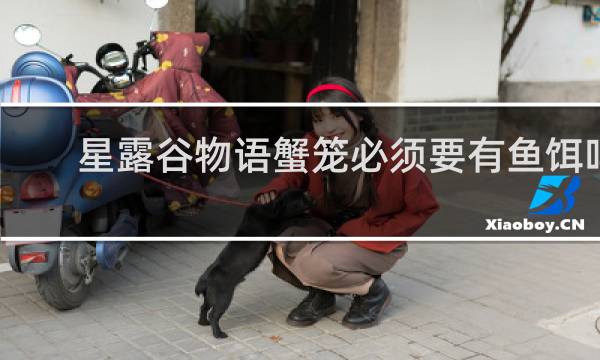 星露谷物语蟹笼必须要有鱼饵吗