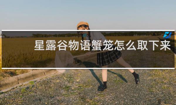 星露谷物语蟹笼怎么取下来