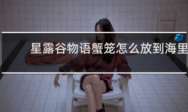 星露谷物语蟹笼怎么放到海里