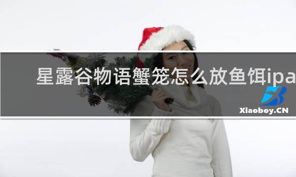 星露谷物语蟹笼怎么放鱼饵ipad