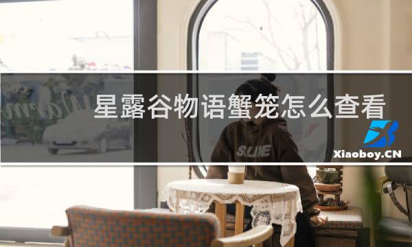 星露谷物语蟹笼怎么查看