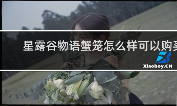 星露谷物语蟹笼怎么样可以购买