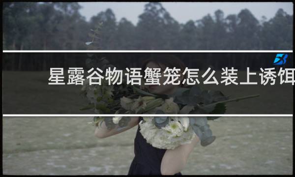 星露谷物语蟹笼怎么装上诱饵