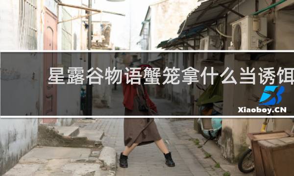 星露谷物语蟹笼拿什么当诱饵