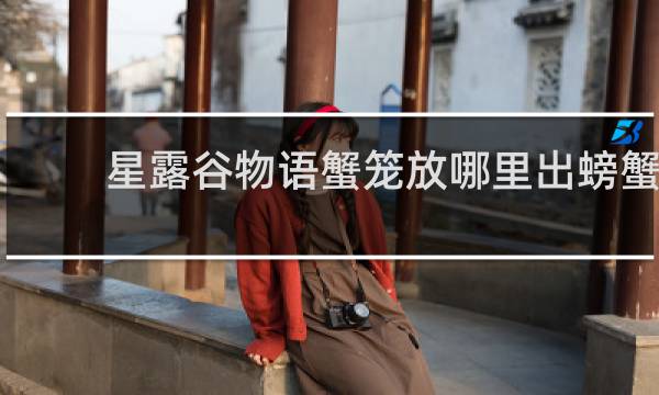 星露谷物语蟹笼放哪里出螃蟹