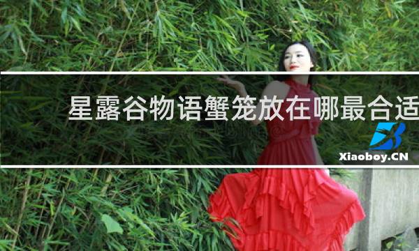 星露谷物语蟹笼放在哪最合适