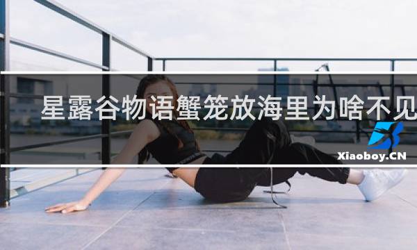 星露谷物语蟹笼放海里为啥不见啦