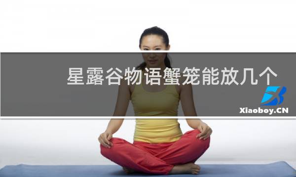 星露谷物语蟹笼能放几个