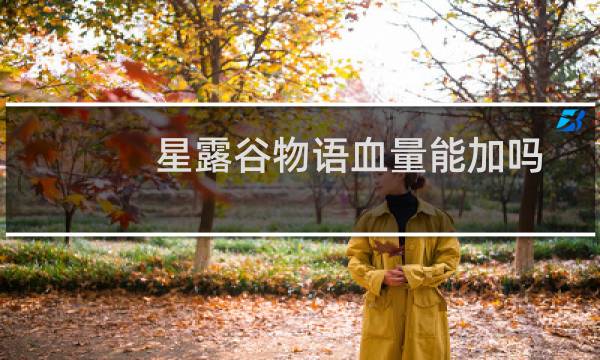 星露谷物语血量能加吗