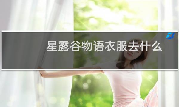 星露谷物语衣服去什么