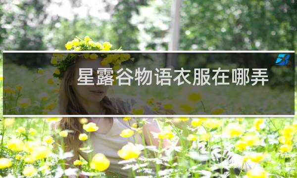 星露谷物语衣服在哪弄