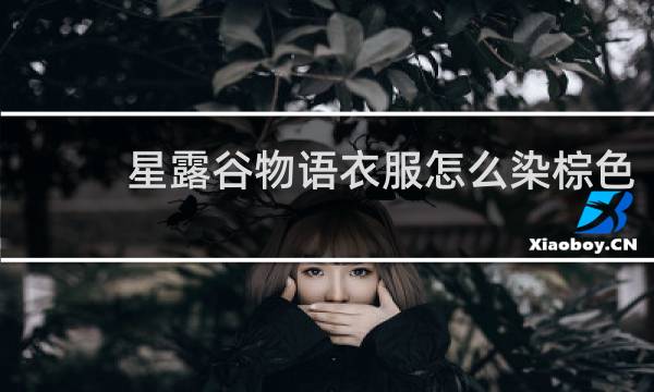 星露谷物语衣服怎么染棕色