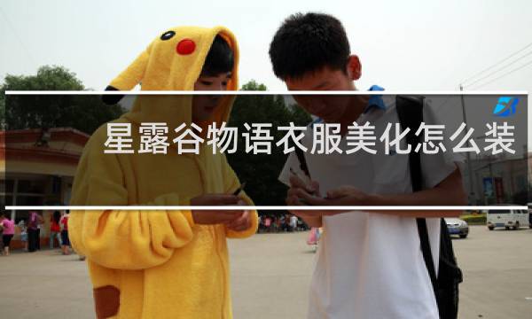 星露谷物语衣服美化怎么装