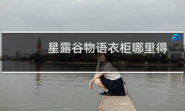 星露谷物语衣柜哪里得