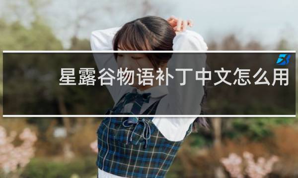 星露谷物语补丁中文怎么用