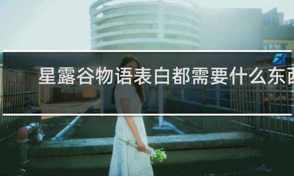 星露谷物语表白都需要什么东西